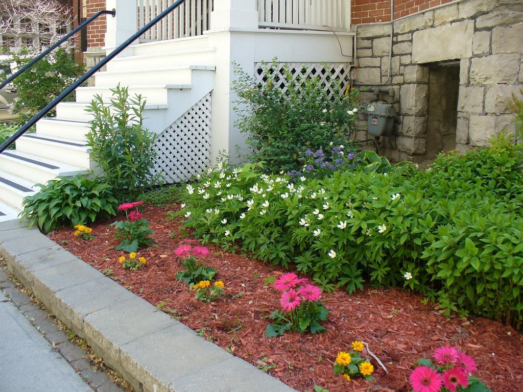 Albert House Inn Ottawa Exterior photo